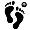 WiFiFootprint2-1-300x270